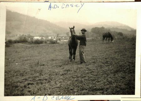 A.D. Casey and a horse in a field