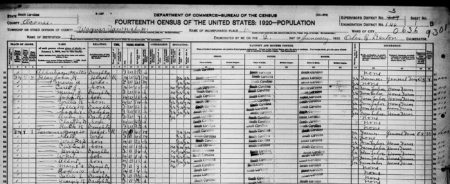 1920 Census Wagener, Oconee County SC Census with George Lawrence and family