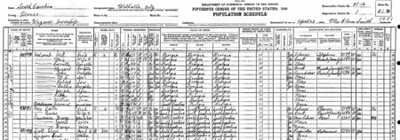 1930 Census Wagener, Oconee County SC Census with George Lawrence and family