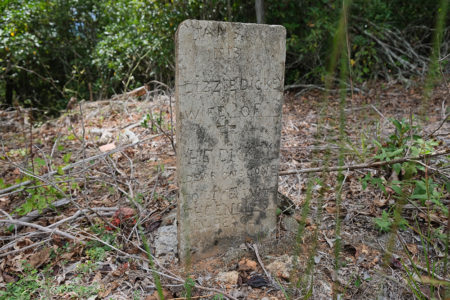 A headstone for Lizzie Dickey.
