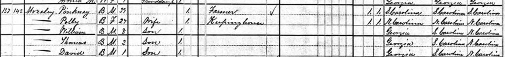 An 1880 Census entry in Persimmon, Rabun County, Georgia showing "Thomas Mozeley" in the household of Pinkney and Polly Mozeley. 