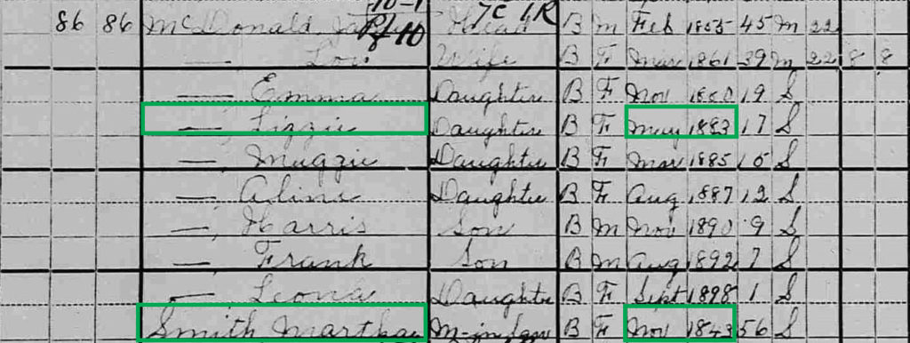 A 1900 Census in Franklin, Macon County, North Carolina showing Martha Smith, Lizzie McDonnell, and their family members.