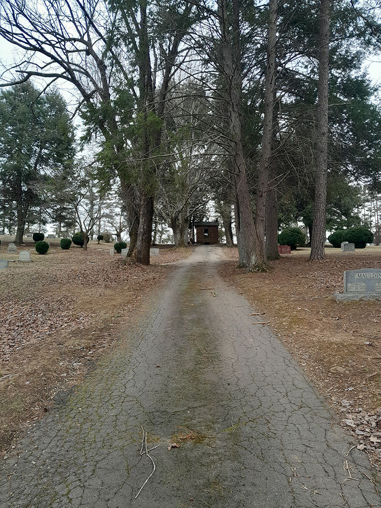 A photo showing a path in Violet Hill Cemetery. Graves border the left and right sides of the path.