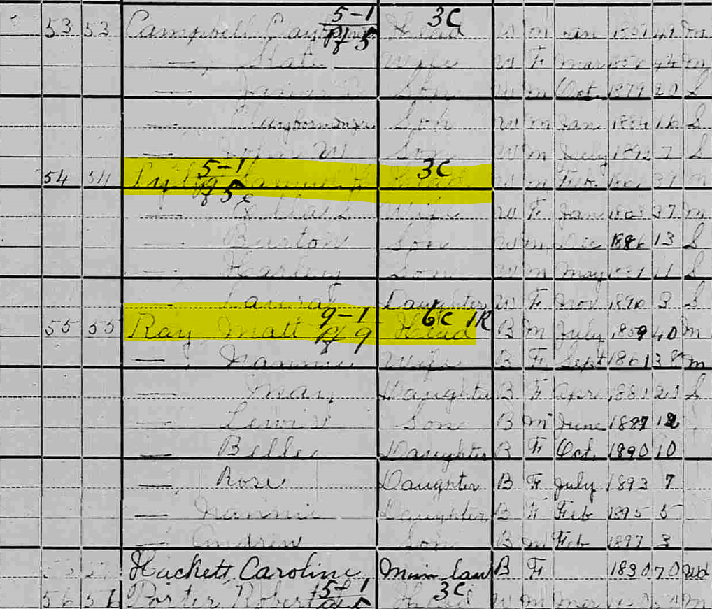 A snippet of the 1900 Census in Franklin, Macon County, North Carolina. The image shows entries for the Lyle and Ray families.