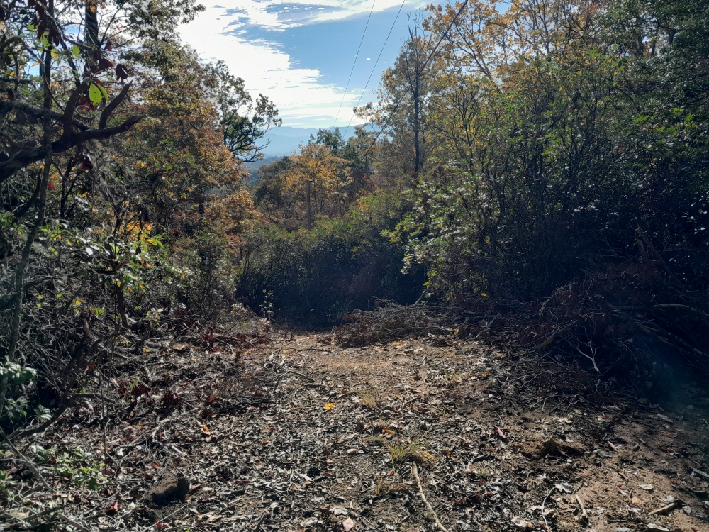 A photo showing the uphill path leading up to New Hope Cemetery in Franklin, North Carolina. Photo taken by Olivia Dorsey Peacock in October 2023.